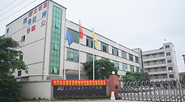 热烈欢迎渠县县委领导莅临我司参观指导！